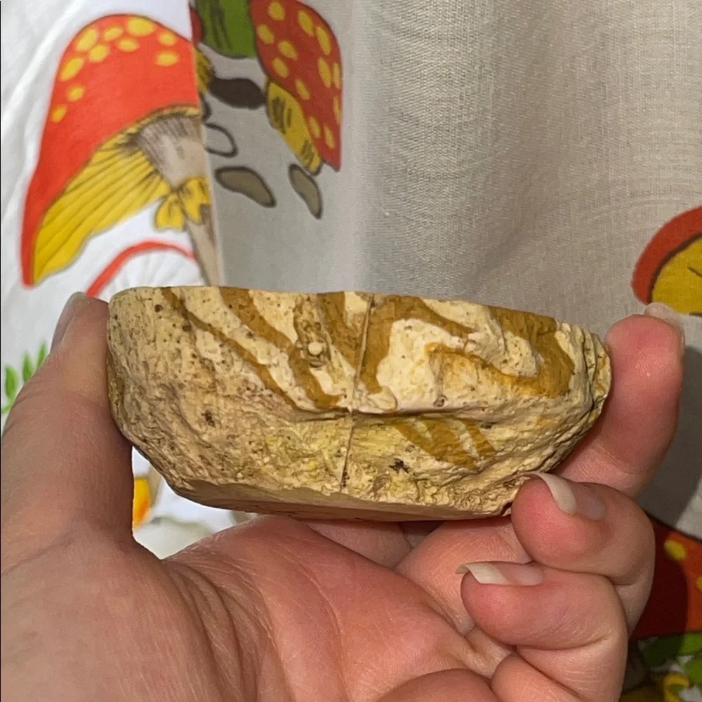 Reptile food or water dish Bowl and Log Accent